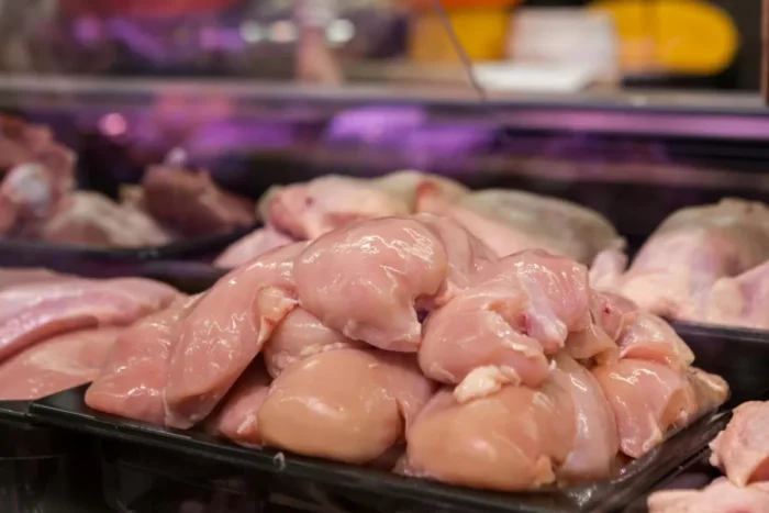 Harga Ayam Kampung Jatim Masih Bertahan Mahal